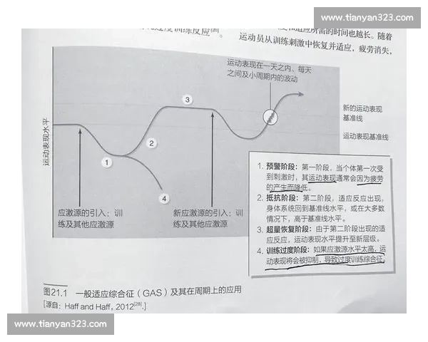现代体育科学技术创新与运动表现优化研究探索 现代体育科学技术创新与运动表现优化研究探索
